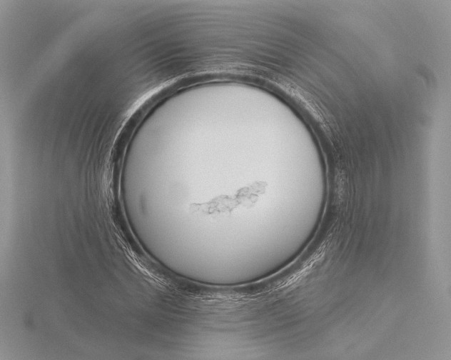 X0000116150830200912071302