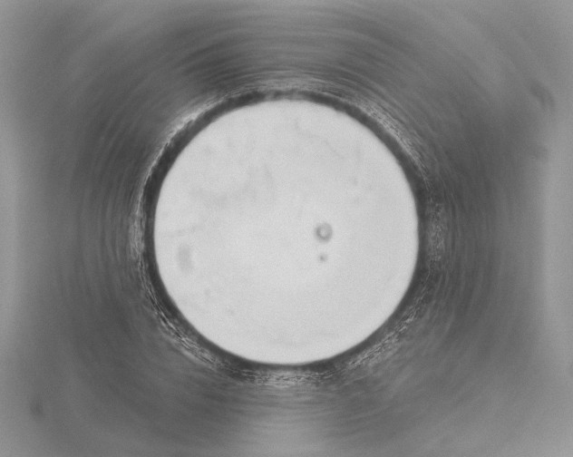 X0000116150832200912071302