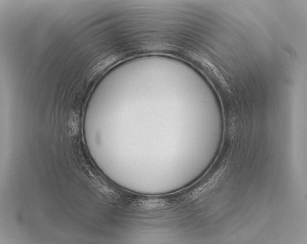 X0000116150833200912071302