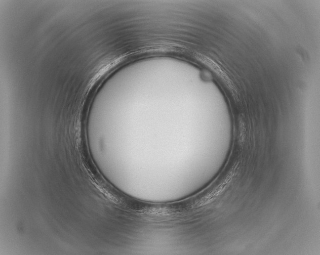 X0000116150834200912071302