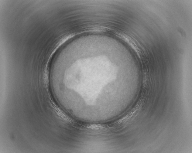 X0000116150835200912071302