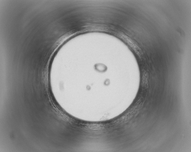 X0000116150836200912071302