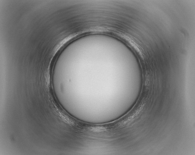 X0000116150837200912071302