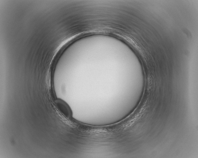 X0000116150838200912071302