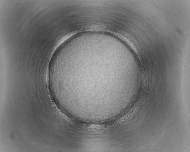 X0000116150839200912071302