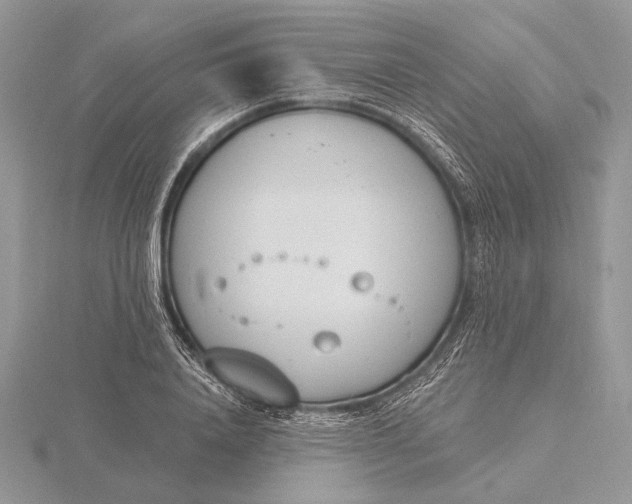 X0000116150840200912071302