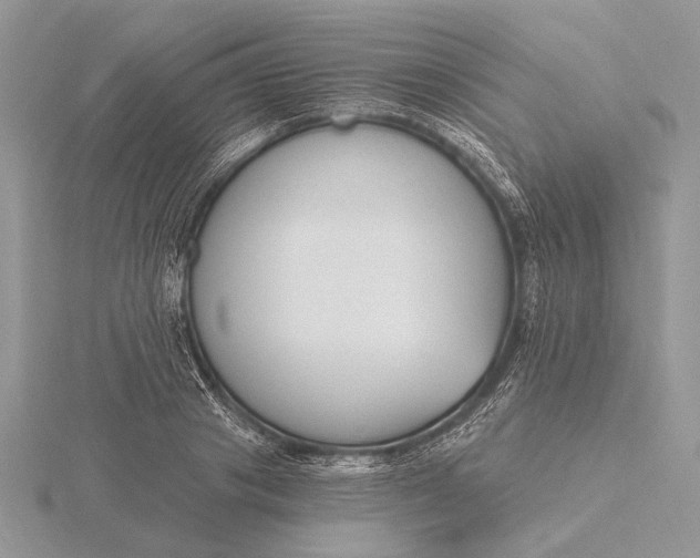 X0000116150841200912071302