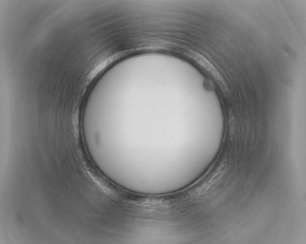 X0000116150842200912071302