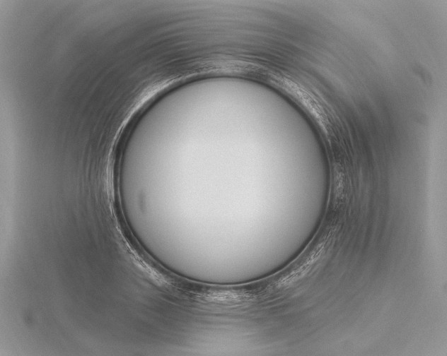 X0000116150843200912071302