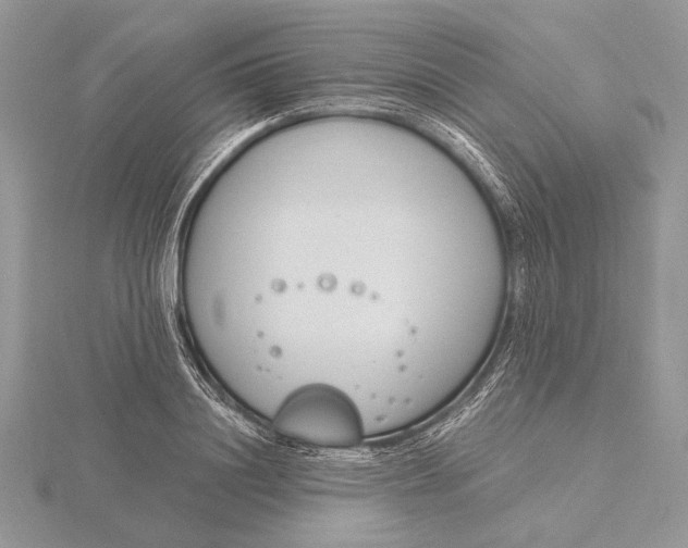 X0000116150844200912071302