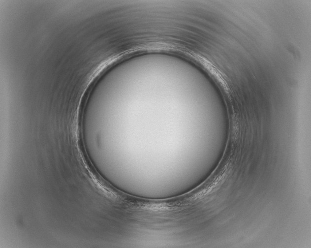 X0000116150845200912071302