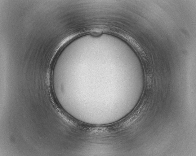 X0000116150846200912071302