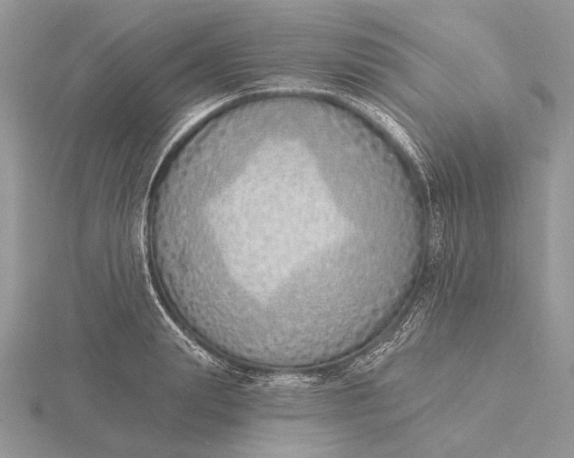 X0000116150847200912071302