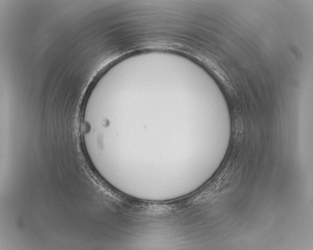 X0000116150848200912071302