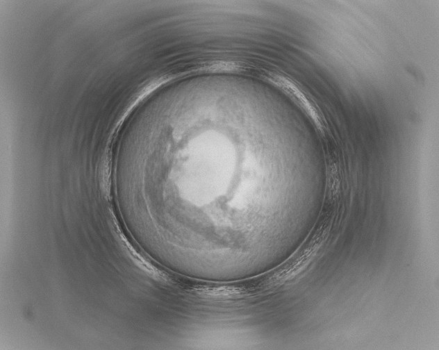 X0000116150851200912071302