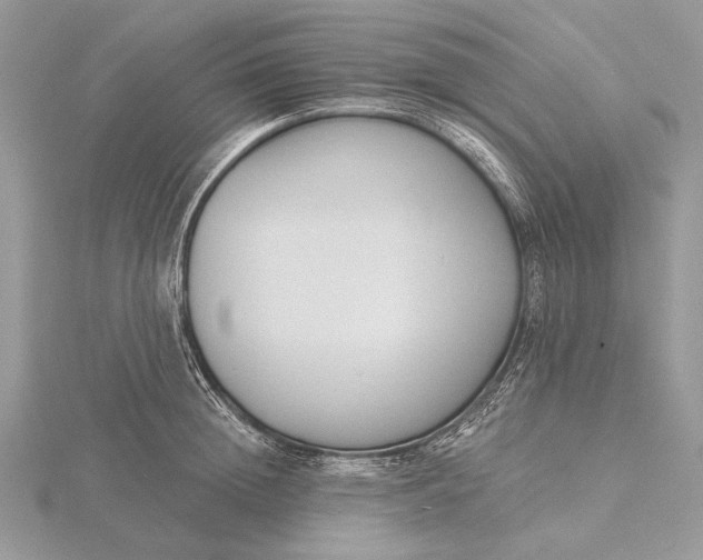 X0000116150852200912071302