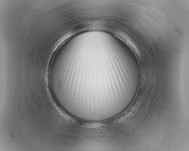 X0000116150853200912071302