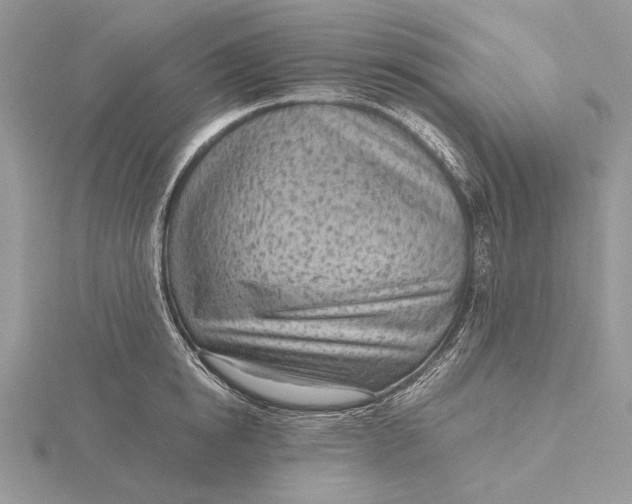 X0000116150854200912071302