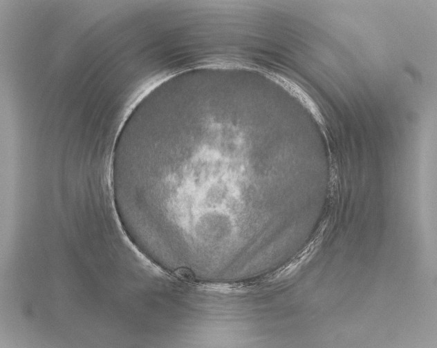 X0000116150855200912071302