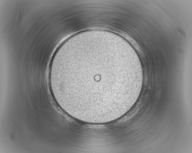 X0000116150856200912071302