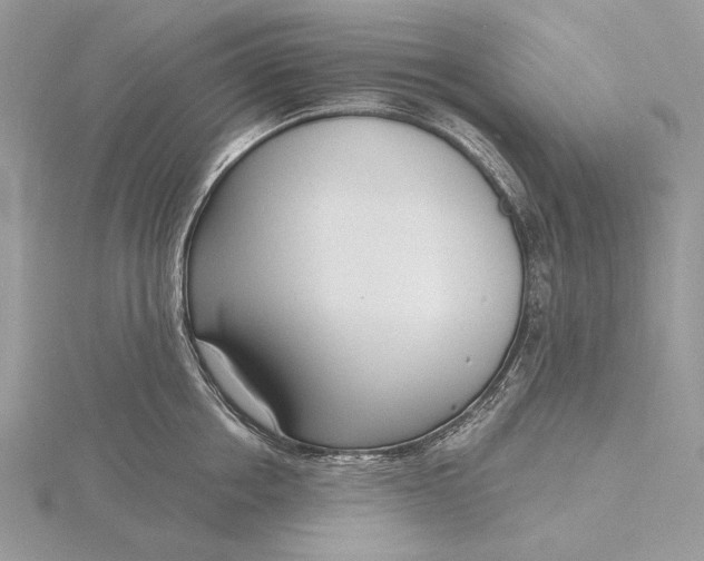 X0000116150858200912071302