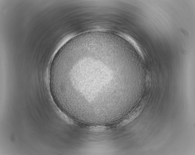 X0000116150859200912071302