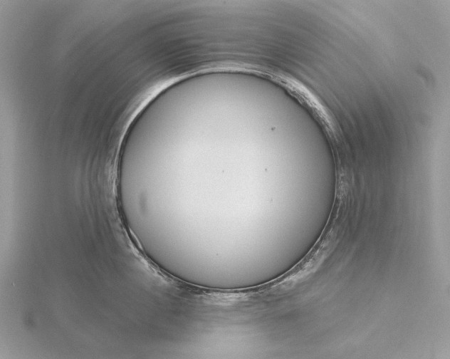 X0000116150860200912071302