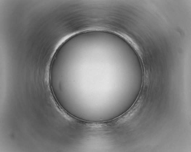 X0000116150862200912071302