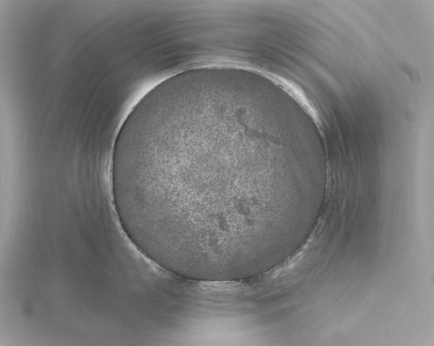 X0000116150863200912071302