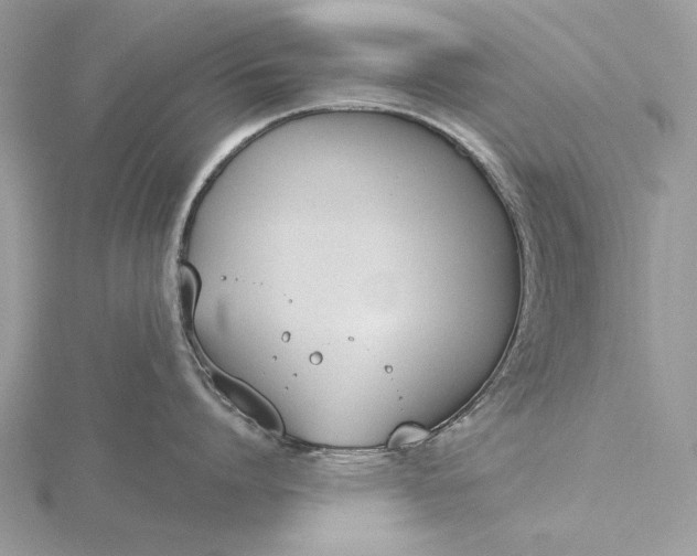 X0000116150864200912071302