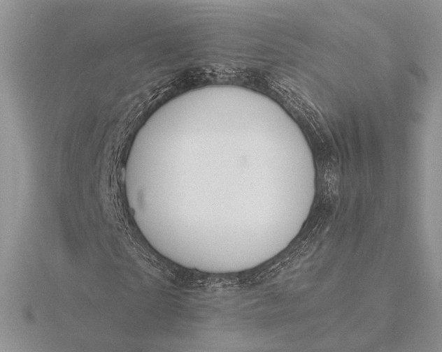 X0000116150865200912071302