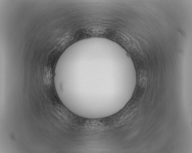 X0000116150866200912071301