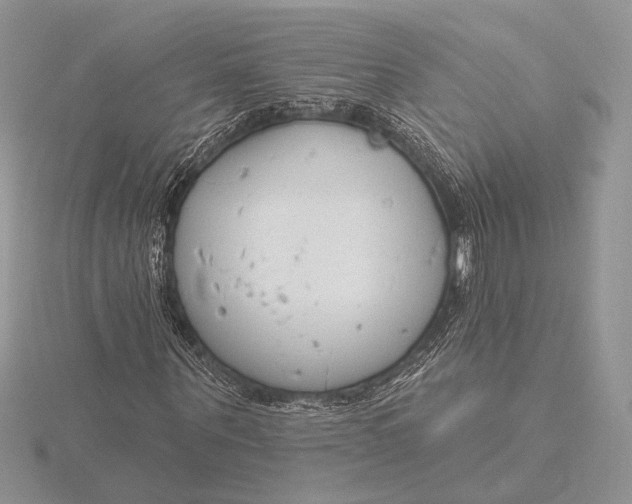 X0000116150867200912071301