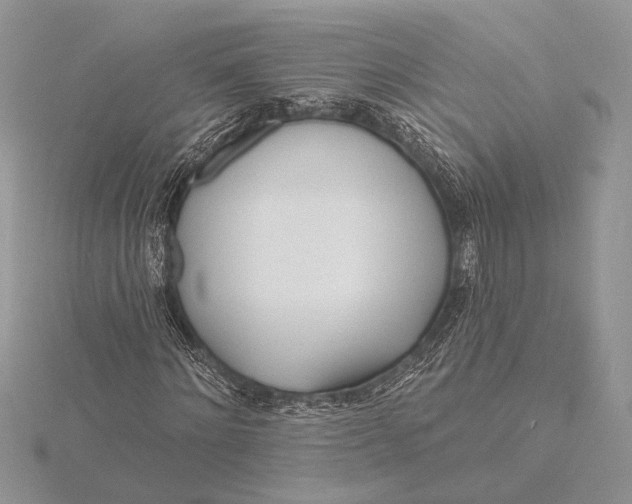 X0000116150868200912071301