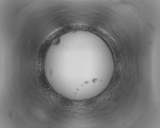 X0000116150870200912071301