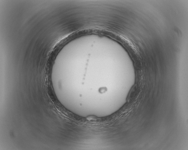 X0000116150872200912071301