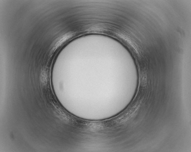 X0000116150874200912071301