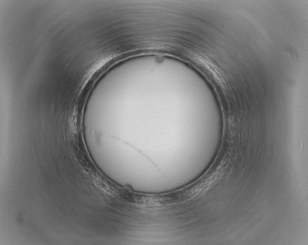 X0000116150875200912071301