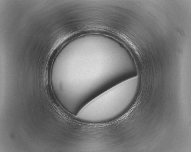 X0000116150877200912071301