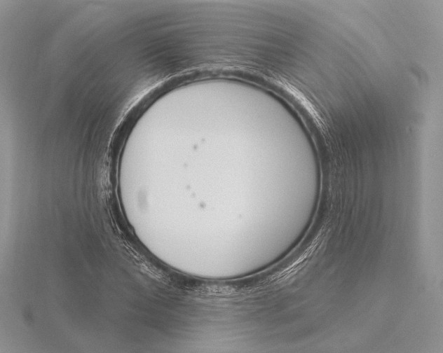 X0000116150878200912071301