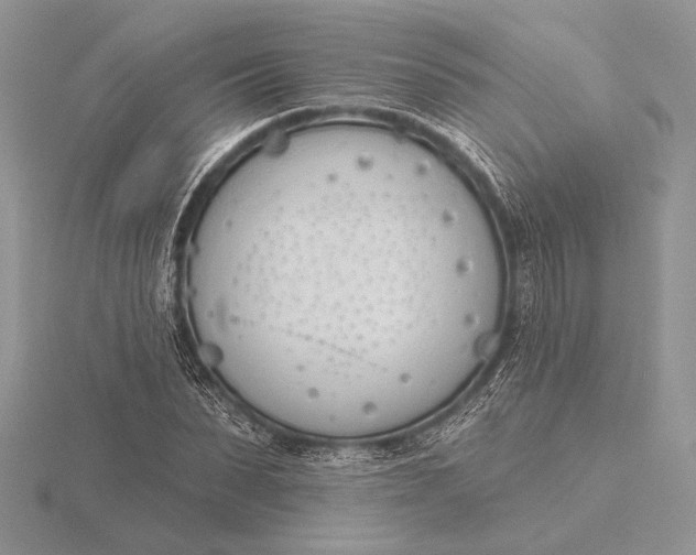 X0000116150879200912071301