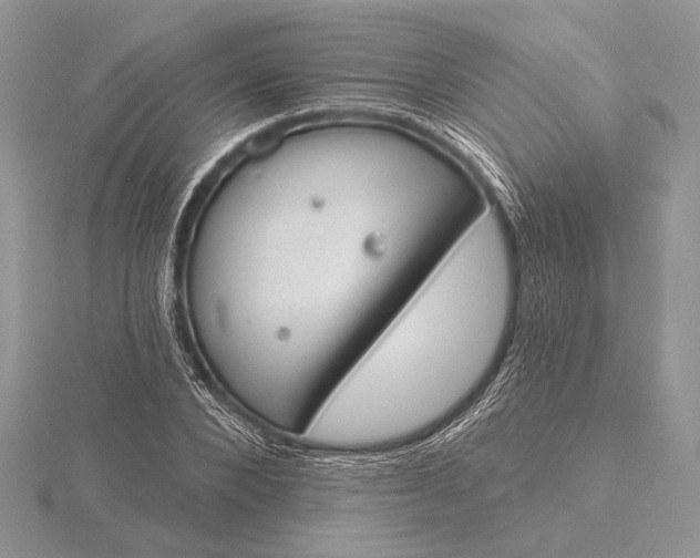 X0000116150880200912071301