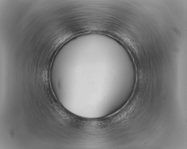 X0000116150881200912071301