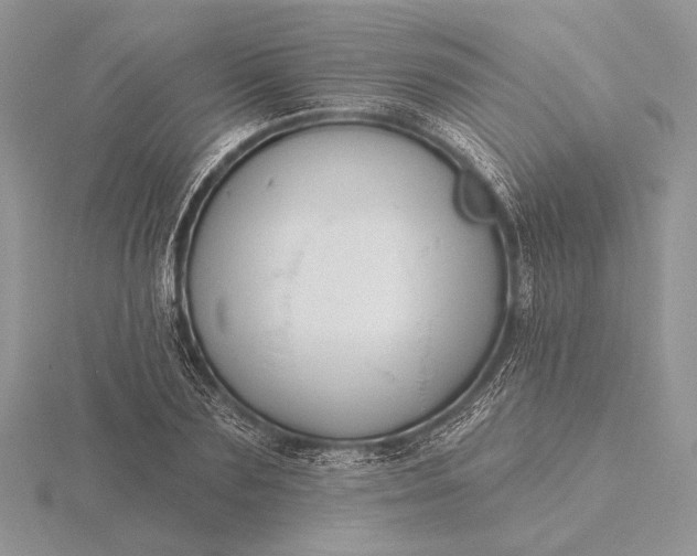 X0000116150883200912071301