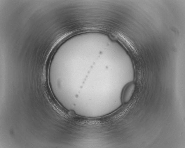 X0000116150884200912071301