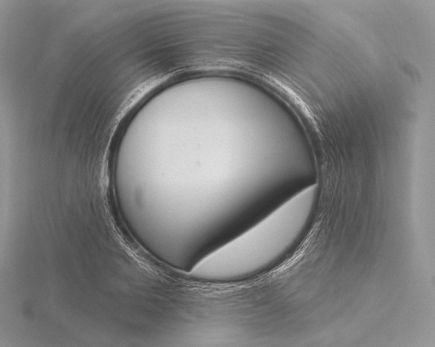 X0000116150885200912071301