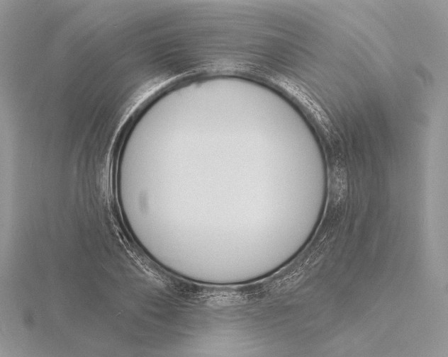 X0000116150886200912071301