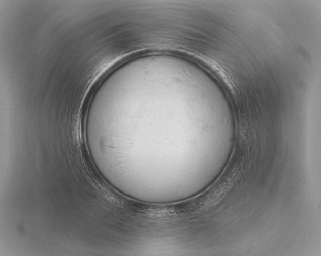 X0000116150887200912071301