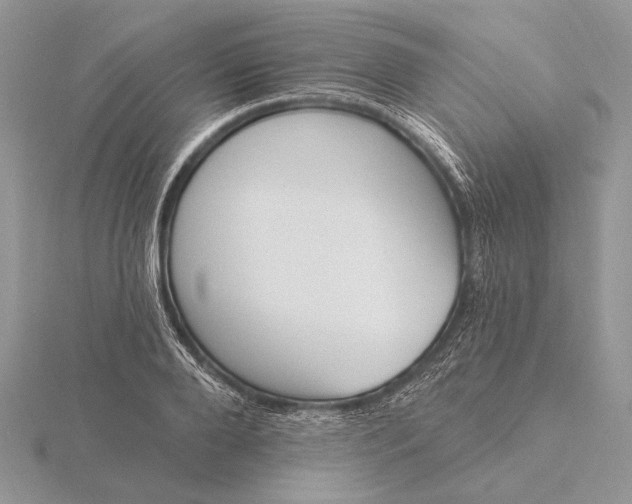 X0000116150888200912071301