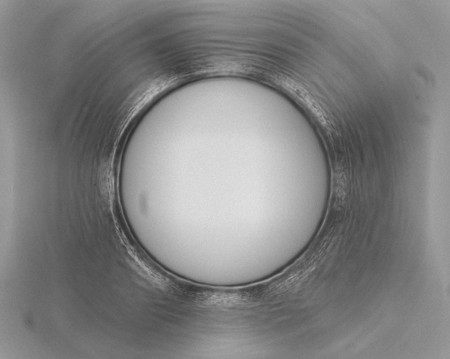 X0000116150890200912071301